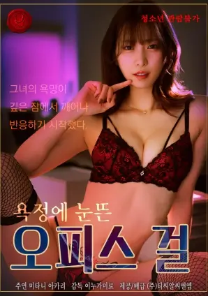 孤舟照夜 谍战热播电视剧全集在线观看